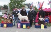  - Dog show in Serbia