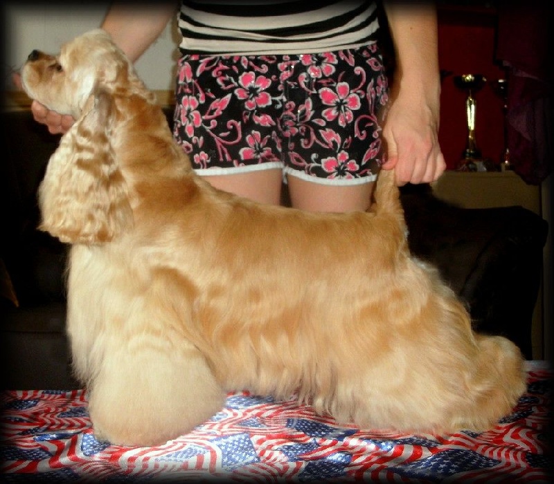Very Vigie Dancing queen