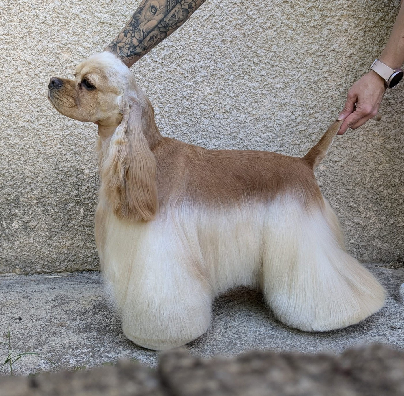 CH. Juli style Dainty flower