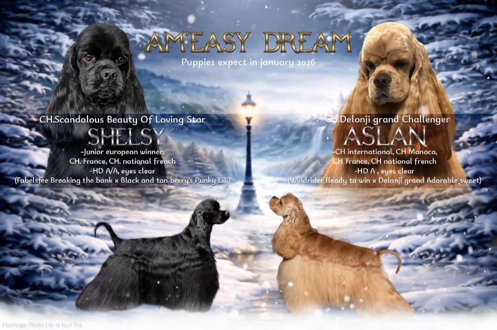 chiots 2026